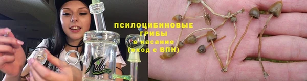 мяу мяу мука Беломорск