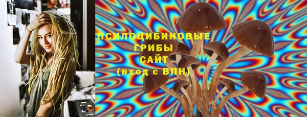 СК Белокуриха