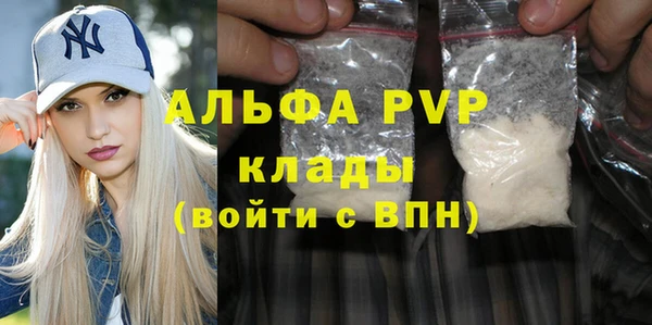 СК Белокуриха