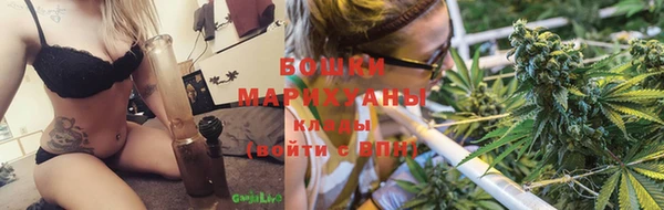 мяу мяу мука Беломорск