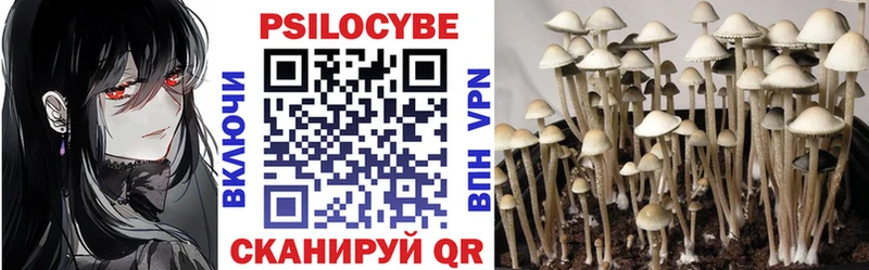 мега как зайти  Выкса  Псилоцибиновые грибы MAGIC MUSHROOMS 